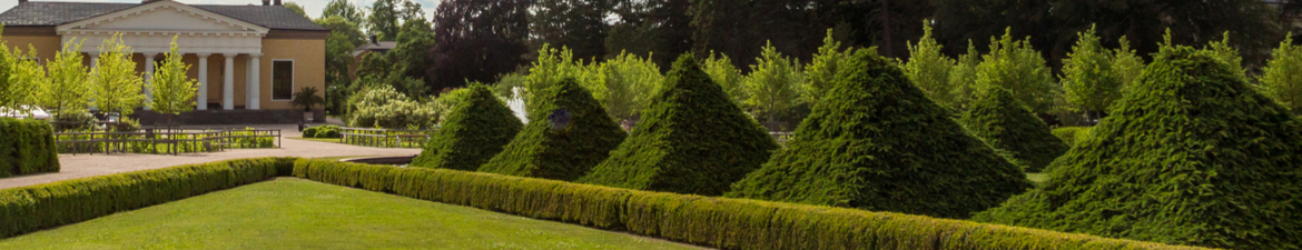 Buy topiary pyramids online | Tendercare UK