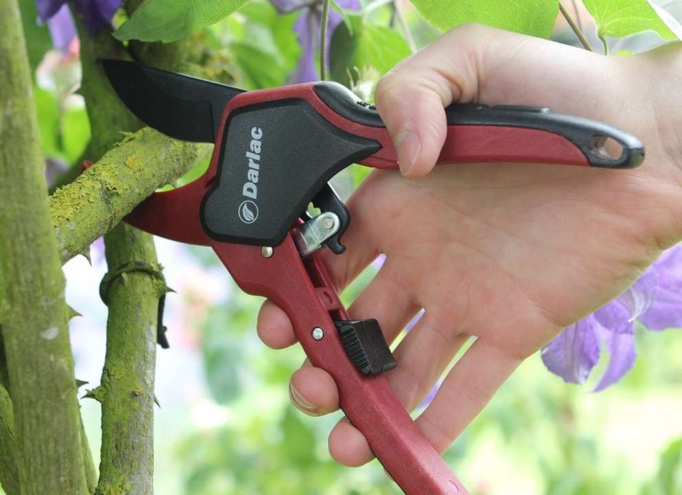 Order garden tools online | Tendercare Nurseries