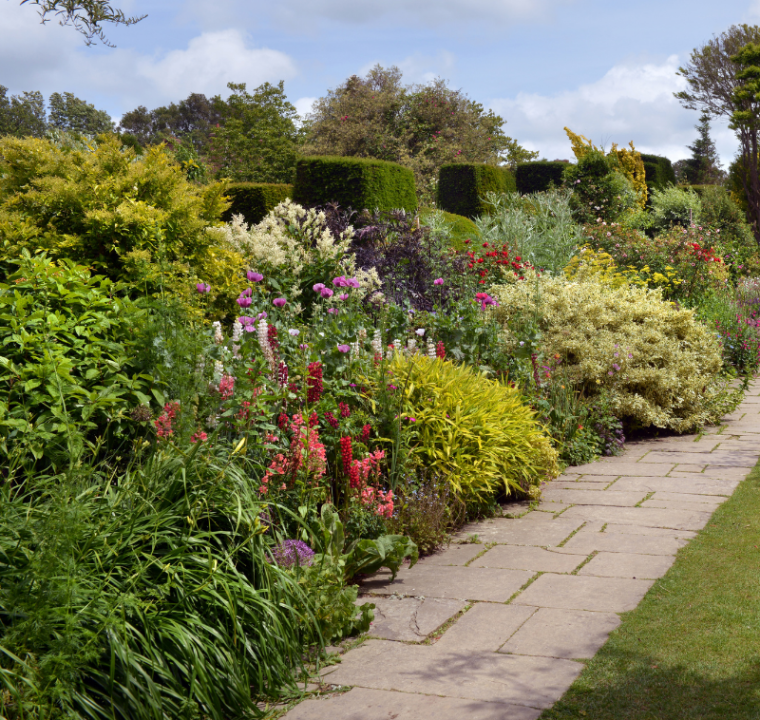 Through the garden gate | Tendercare Nurseries UK