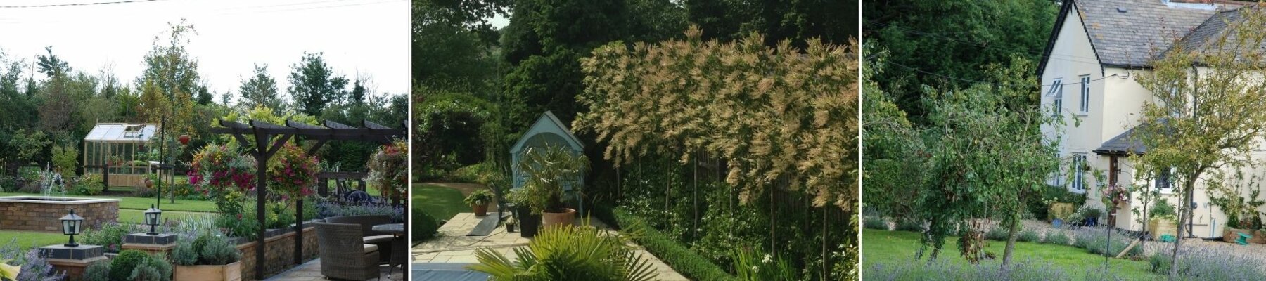 Initial Garden Consultation