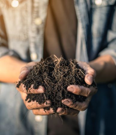 A more sustainable garden: composting