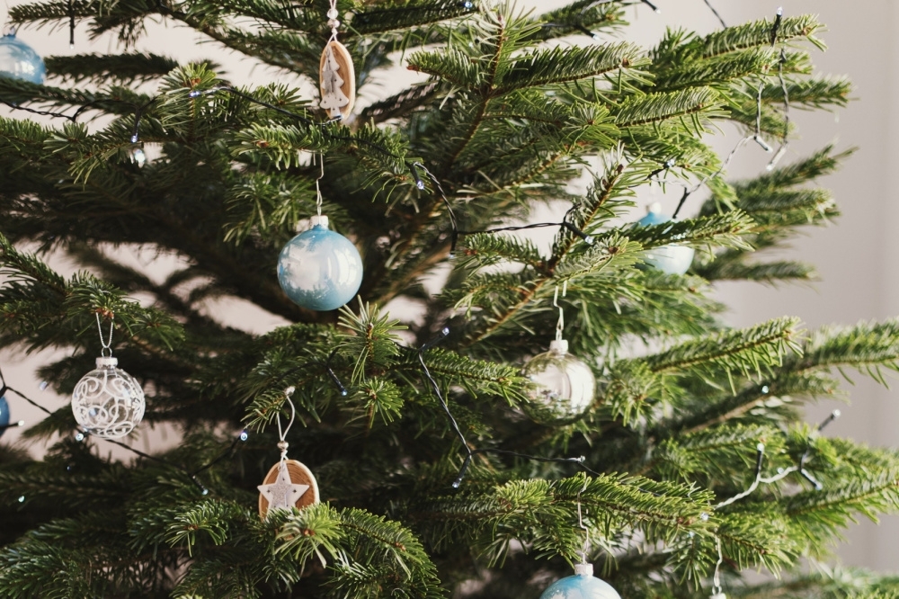 How to keep your Christmas tree fresh for longer Tendercare