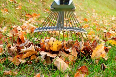 Prepare the garden for autumn