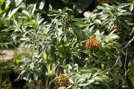 Top 5 alternatives to box hedging