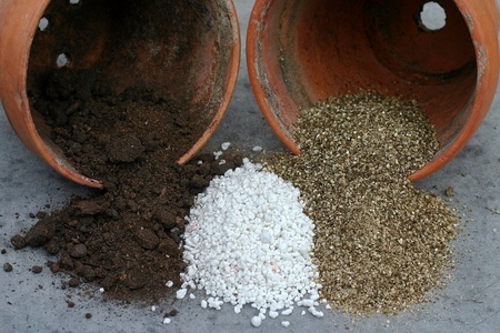 Vermiculite or perlite: which to choose?