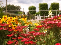 Plant Nursery