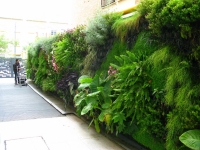 Living Walls:Vertical Gardens