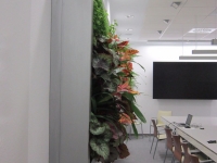 Living Walls:Vertical Gardens