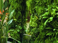 Living Walls:Vertical Gardens
