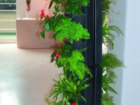 Living Walls:Vertical Gardens