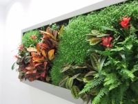 Living Walls:Vertical Gardens