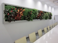 Living Walls:Vertical Gardens