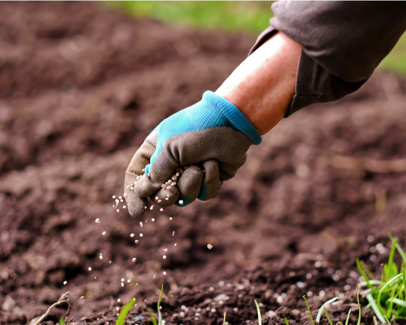 Buy soil improvers, fertilisers, compost and conditioners online | Tendercare