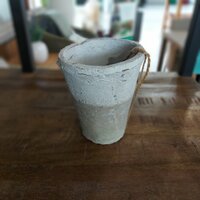 Antiqued White Cactus Pot