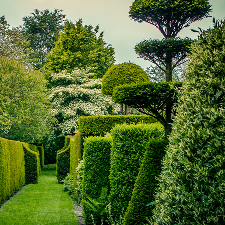 Artfully Pruned