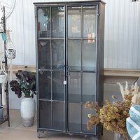 Cabinet Metal Two Doors - image 1