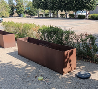 Corten trough 250X50X52