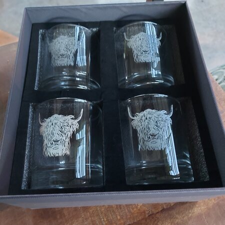 Highland Cow Tumbler Set