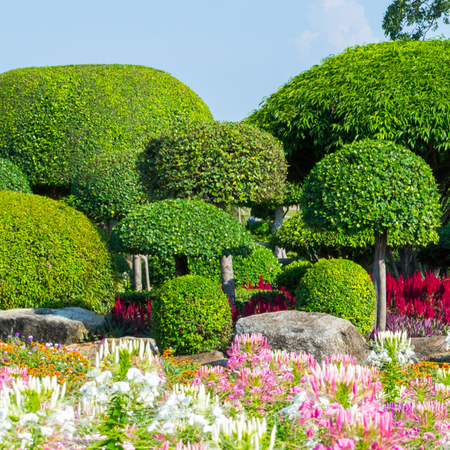 Mature Artfully Pruned