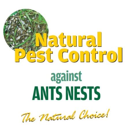 Natural Pest Control Ants Nests 60
