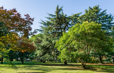 Where Extra Maturity Matters