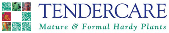 Tendercare Nurseries - Mature & Formal Hardy Plants in Uxbridge.